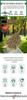 Traditional Large Bamboo & Wood Handle Broom for Outdoor Sweeping and Road Cleaning