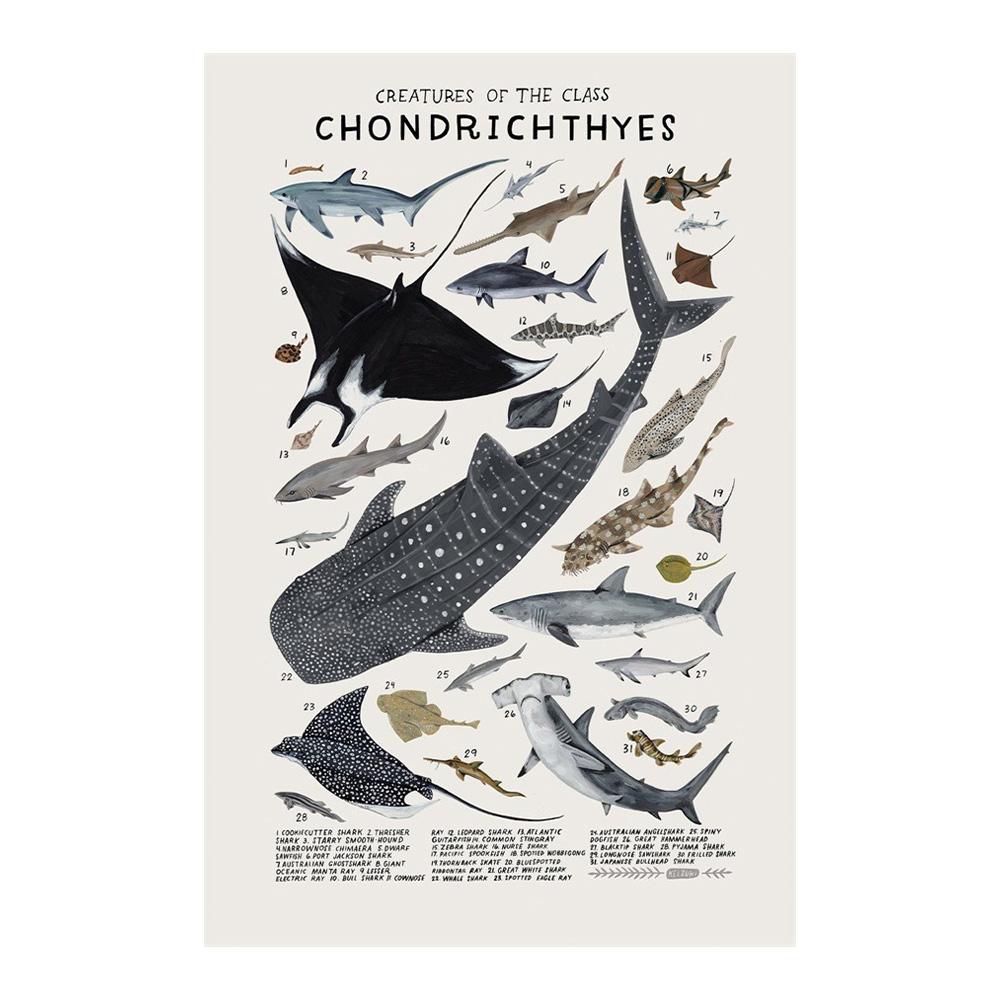 Abstract Marine Organisms Jellyfish Whale Squid Fishes Posters Canvas Painting and Prints Wall Art Picture for Room Home Decor