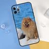 Pomeranian Dog Phone Case For iPhone 16 Pro Max 12 13 Mini 11 14 15 Pro Max XR 16 15 Plus 16e Cover Shell