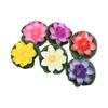 6pcs Artificial Pond Plants 6 Colors Lightweight Durable DIY Making Attractive Decorative Shooting