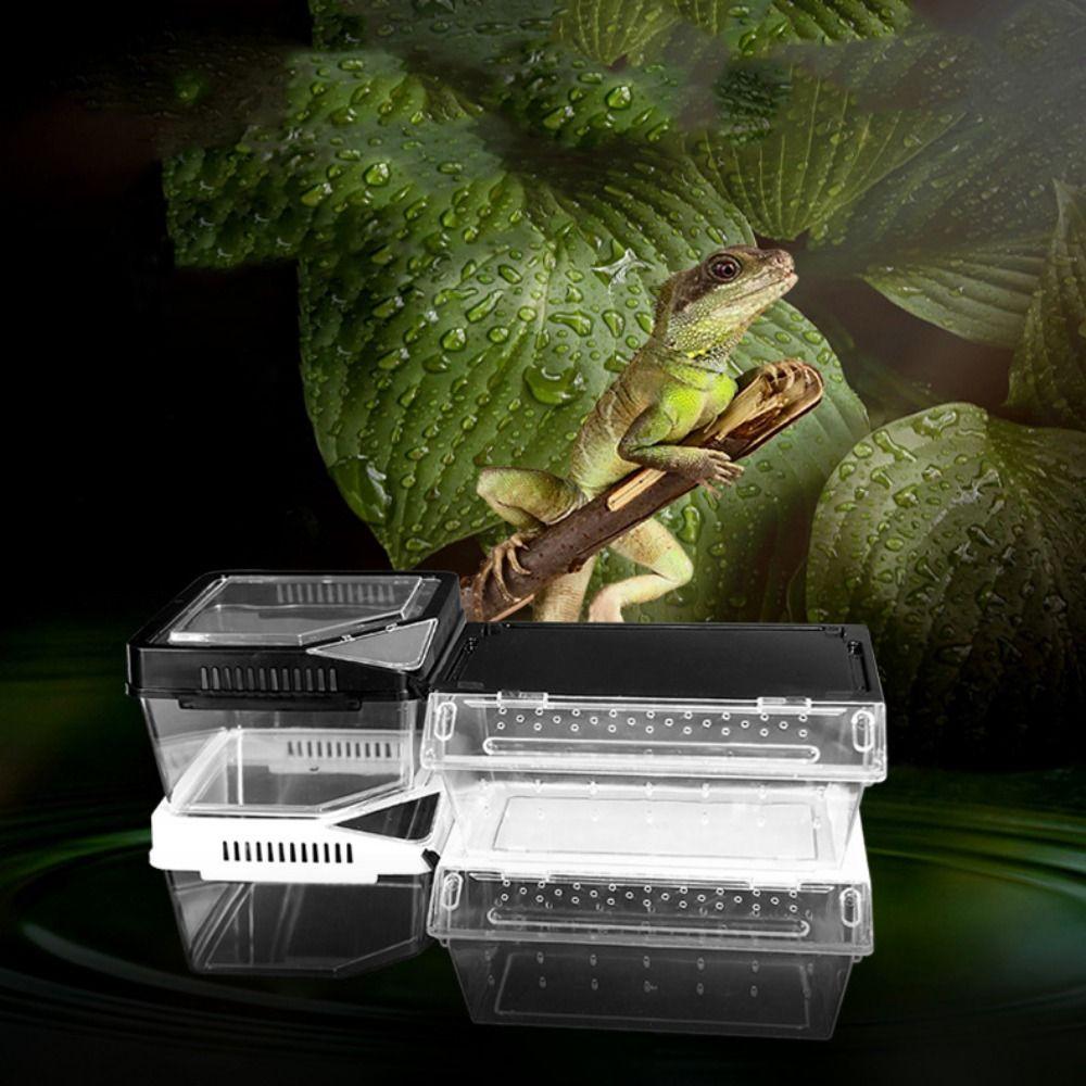 Flip Cover Type Reptile Carrier Box Plastic Lizard Grow Box  Tarantulas