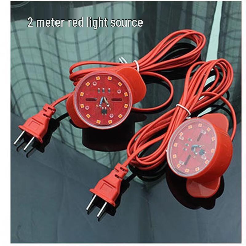 Outdoor Festival Lantern LED Light Cable