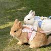Rabbit Walking Harness With Rope Reinforced Stitching Chew Resistant Polyester Vest For Small Animal Safe And Secure