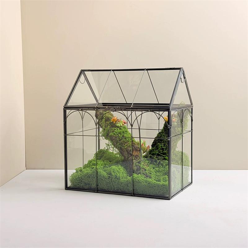 Mikro-Moos Regenwald-Landschaft Glas-Terrarium Miniatur-Garten Moos-Ökosystem Schreibtisch-Gewächshaus Innen-Haus Tischvase