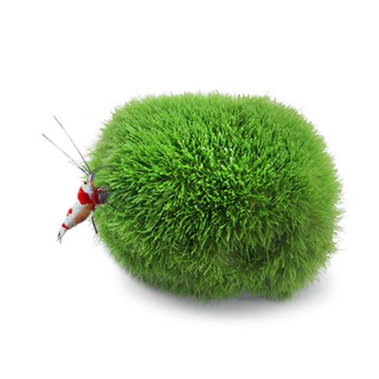 Fish Tank Landscaping Beautiful Shape Safe Pollution-free Simulated Fine Workmanship Decoration Props Resin Green