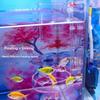 Acrylic Aquarium Feeders Ring Transparent Fixed-Point Fish Tank Food Dispenser Suction Cup Floating Food Tray Feeder