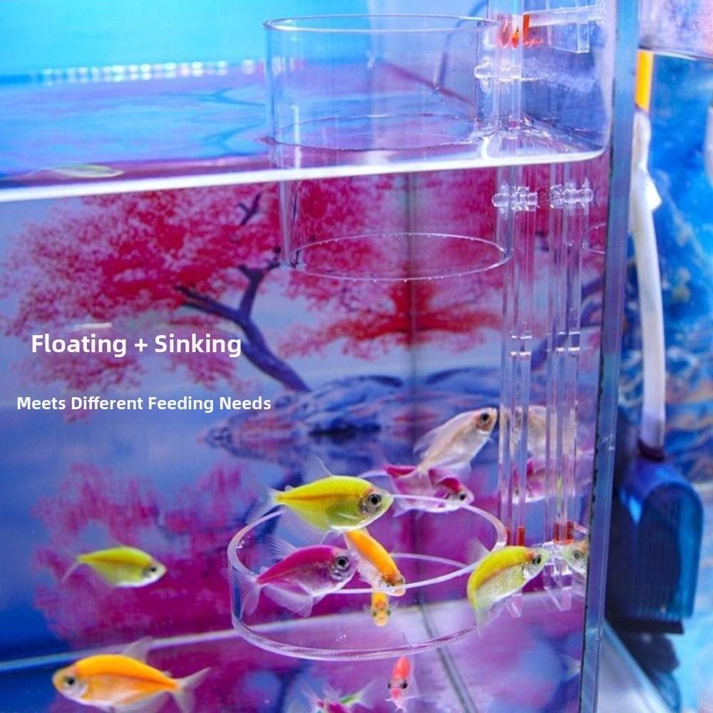 Acrylic Aquarium Feeders Ring Transparent Fixed-Point Fish Tank Food Dispenser Suction Cup Floating Food Tray Feeder