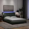 VidaXL Bed Frames with LED Lights, Double Bed with Headboard Cushion, Adult Bed, Bedroom Furniture, Modern, Grey 3213705