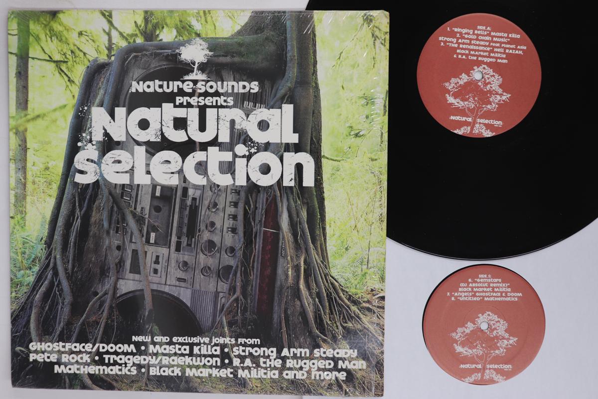 LP Record VARIOUS  Nature Sounds Presents Natural Sele NSD123 NATURE SOUNDS 2006 US Rap  HipHopRB Used