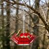 2Pcs Hanging Hummingbird Feeders Saucer Style Bird Feeders with 30 Feeding Ports Ant Moat Bee-Proof Hummingbird Nectar Feeder for Outdoor Backyard