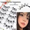 Dai Fei Yan DFY70 Thai Style 5-Pack: Transparent Stem, Big Curl, Soft Tapered Nude False Eyelashes