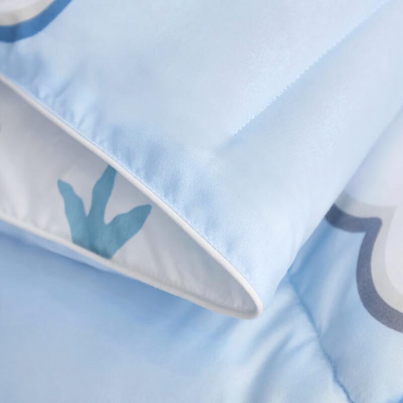 Donnafou Cloud Goose Down Duvet