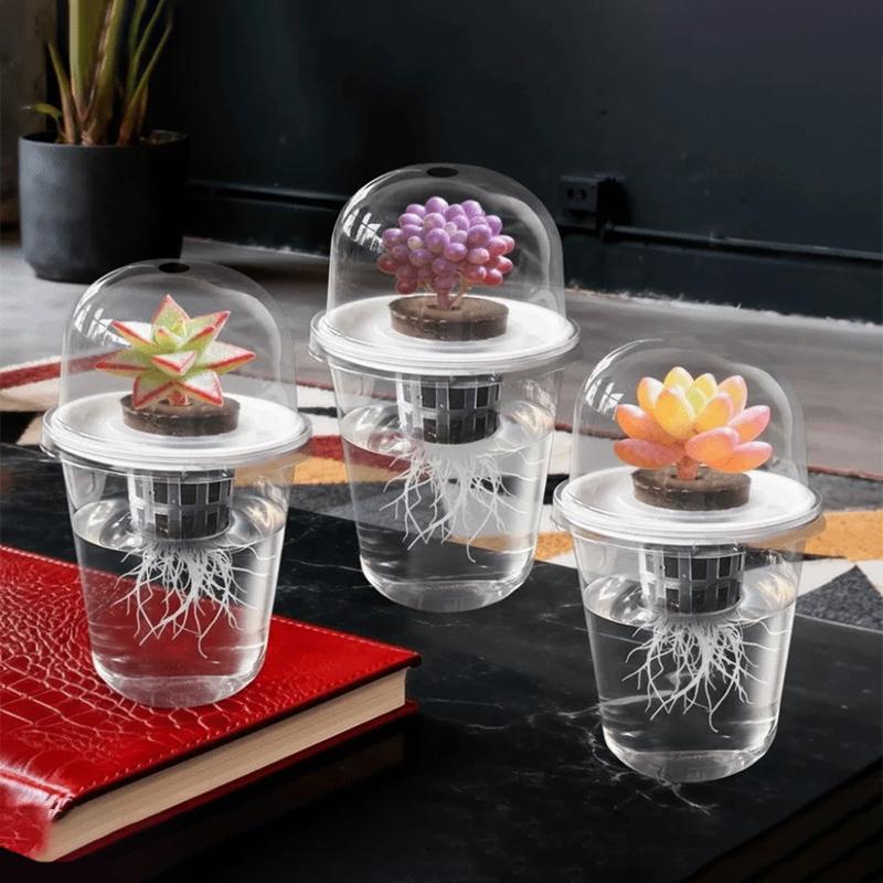 1/3Sets Plastic Material Hydroponic Seed Planter Pots Reusable Seedling Baskets Transparent Root View Cups Succulents Growing