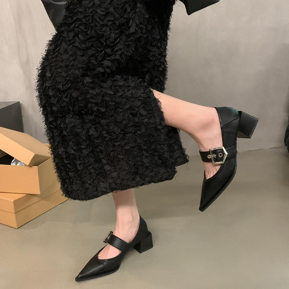 Fashion Retro Pointed Mary Jane Small Leather Shoes for Women 2024 Autumn and Winter New Korean Version of Chunky Heel Loafers
