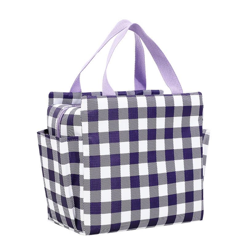 Insulated Lunch Cooler Bag