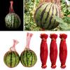 100pcs Garden Cucumbers Growing Storage Mesh Net Vegetable Bags Hanging Watermelon Grow Net Bags Reusable Cantaloupes Mesh Net