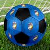 SIZE 5 FC Viktoria Plzeň Soccer Ball Colorful All Ages Machine Stitched PVC Competition Ready Durable High-Bounce