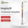 Senhao Red Tassel 6b Quarter Anatomy Training Model