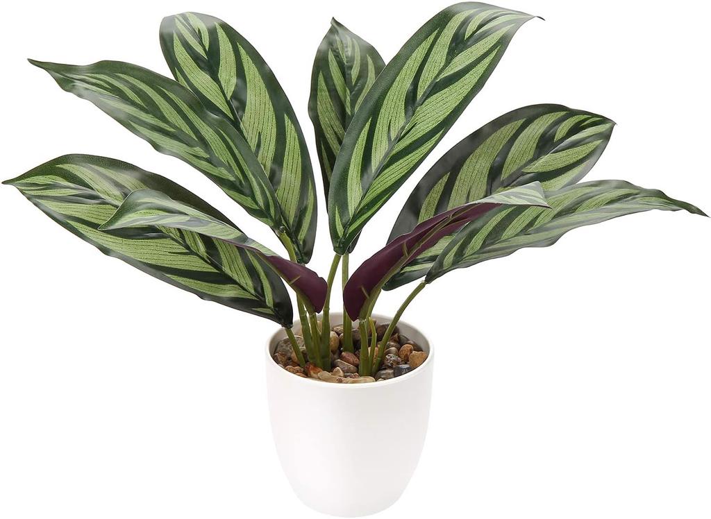 Sztuczny Kwiat W Doniczce Roślina Ozdobna Calathea Jak Żywa Dekoracja 33Cm