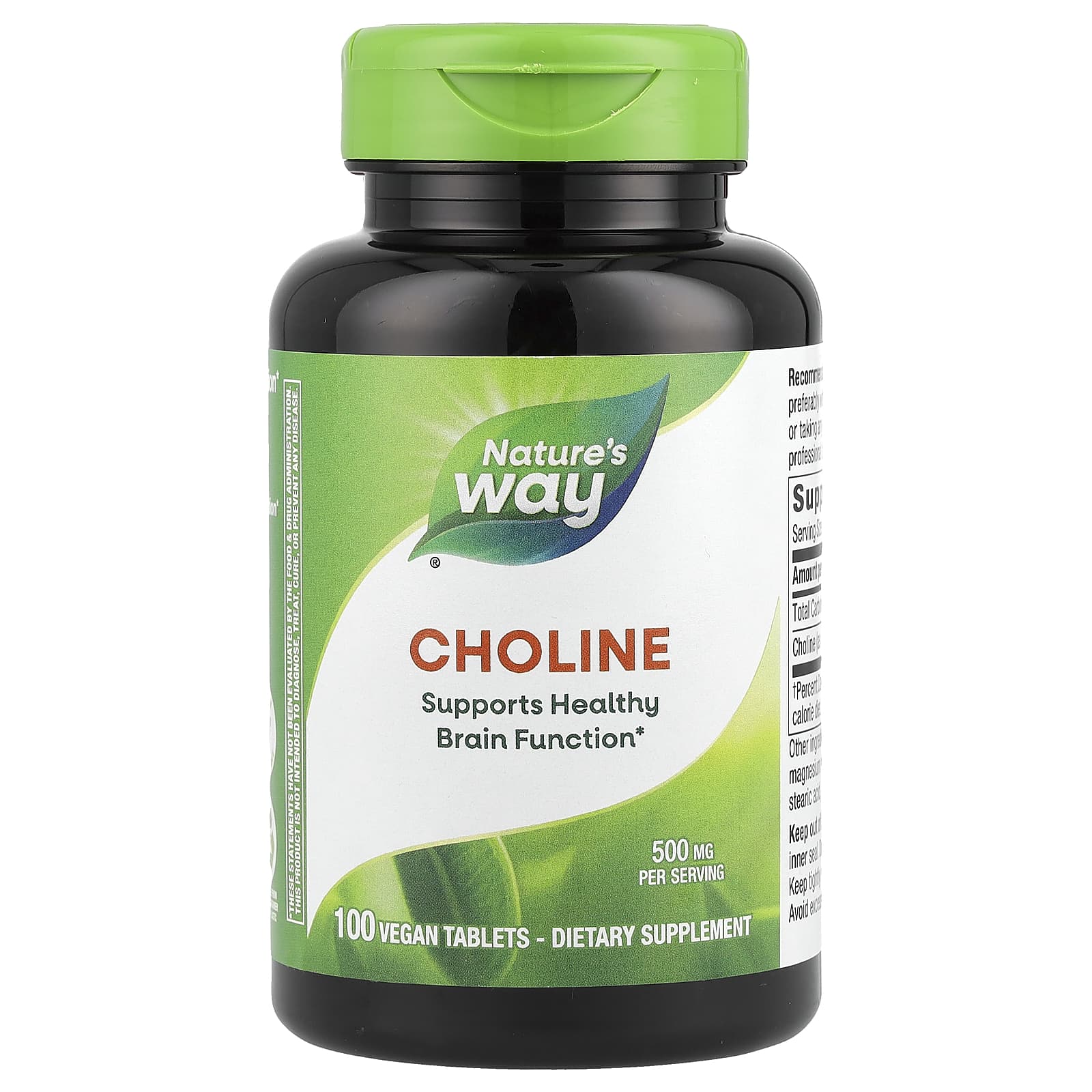 

Nature S Way, Choline, 500Mg, Veggie Tablets, 100 Tablets