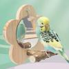 Square Bird Perch Stand Wooden Parrot Toys Creative Branch Perch Rod Stand  Cage Accessories