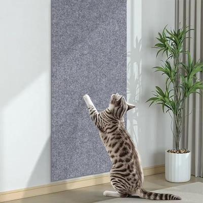 Kedi – Kedi Eğitim Aparatları
