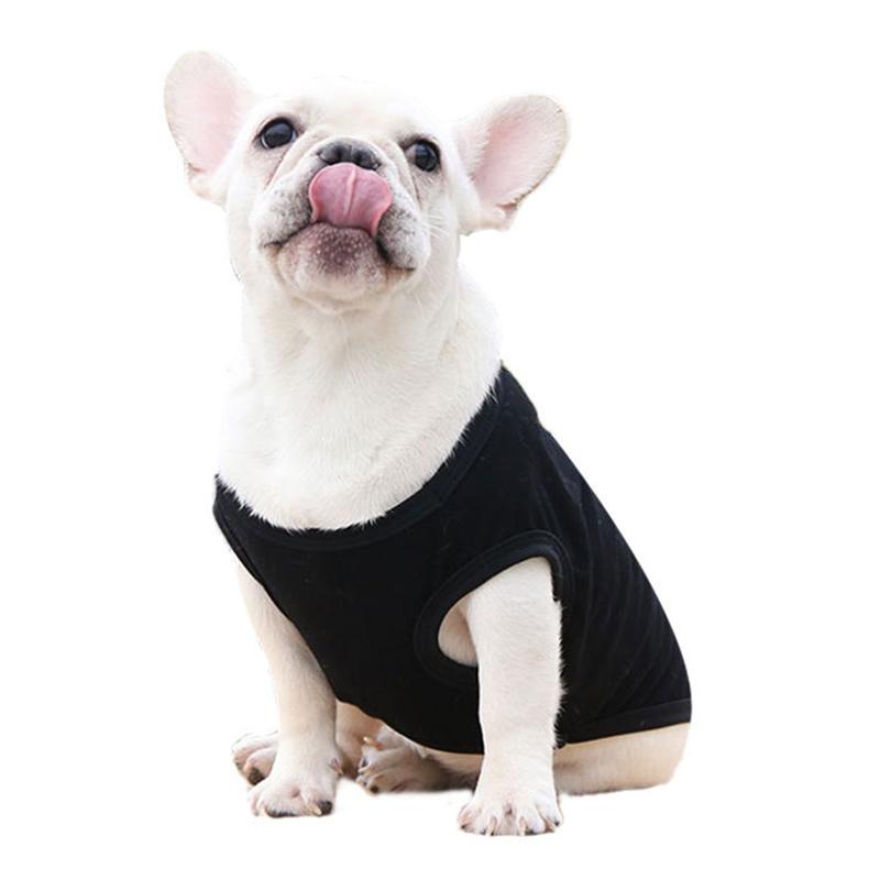 funny dog vest