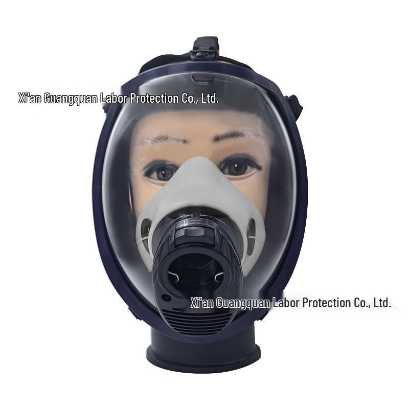 SANSHENG Positive Pressure Air Respirator Full Face Mask 1