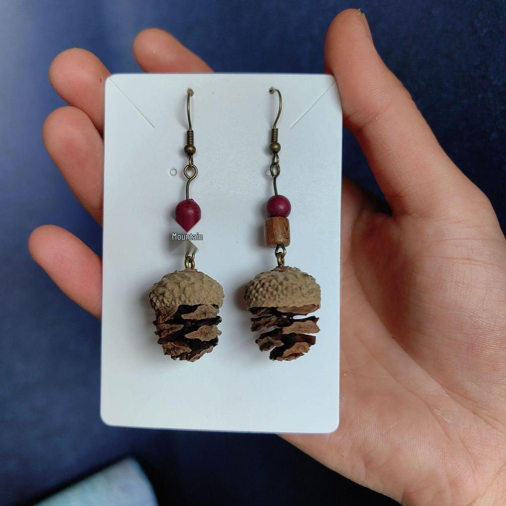 Fruit Earrings - Handmade Natural Dried Fruit Earrings, Retro Chinese Medicine Ethnic Style, for Women.