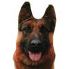 50cm Sevimli Simülasyon Köpek Peluş Oyuncak 3D Baskı Doldurulmuş Hayvan Köpek Peluş Yastık Doldurulmuş Karikatür Yastık Çocuk Bebek Ev Dekor Hediye