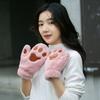 For Women Windproof Autumn Fluffy Anime Cosplay Gloves Winter Paw Mittens Cat Claw Gloves Plush