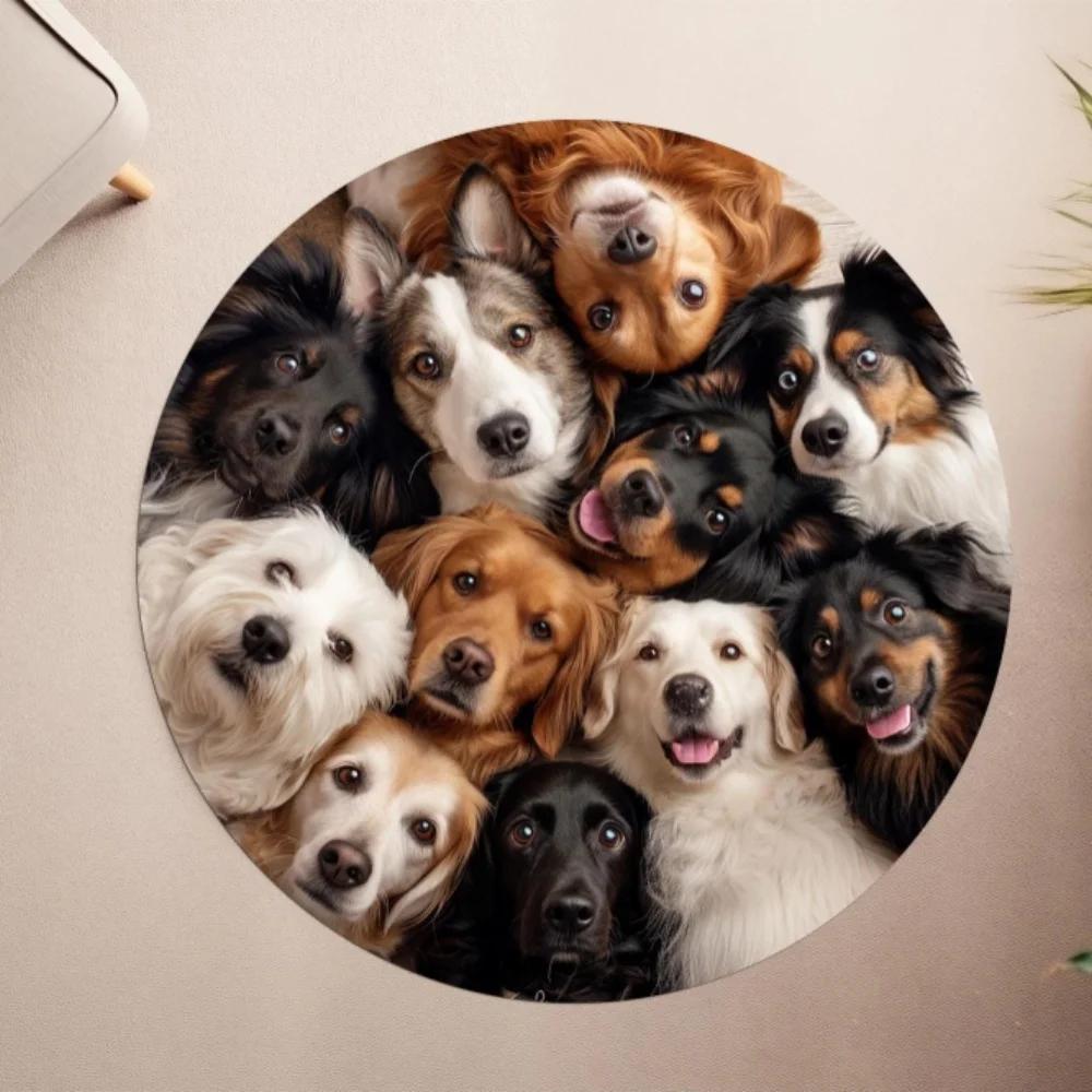 Large Dog Mat Entrance Doormat Waterproof Pet Mat for Pitbull Rottweiler Labrador Entrance Floor Mat