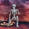 Szkielety Dekoracje Halloweenowe Model Ciała Ludzkiego Anatomia Szkieletu Realistyczny Model Szkieletu do Domów Strachów Cmentarzy