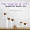 In Stock: 30 Straight-Opening Cork Stopper Glass Bottles - Rose Flower, Candy, and Agarwood Test Tube Packaging