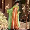 Authentic Tang Dynasty Style Hanfu Set Womens Wrap Skirt Outfit With Floral Print Embroidery