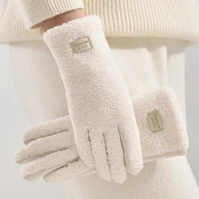 Damen Winter Wildlederhandschuhe Warme Fuzzy Touchscreen-Handschuhe Einfarbig Winddicht Plüschgefütterte Handschuhe zum Fahren Pendeln Einkaufen