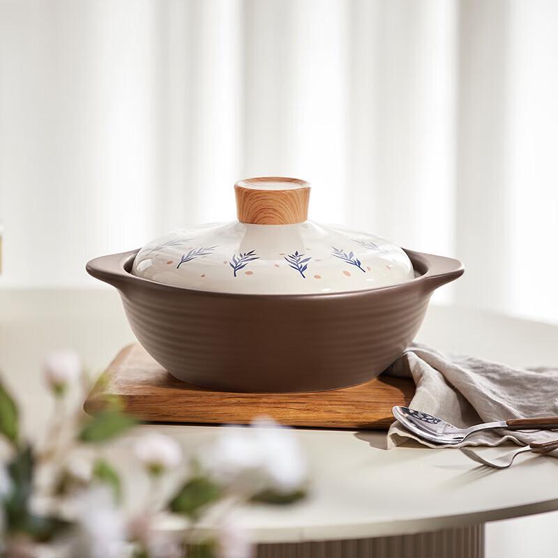 Bear Ceramic Multi-purpose Stew Pot 2.5L