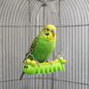 Bite Resistant Parrot Perch Stand Durable Parrot Swing Toy Fun Birds Climbing Ladders  Training Toy