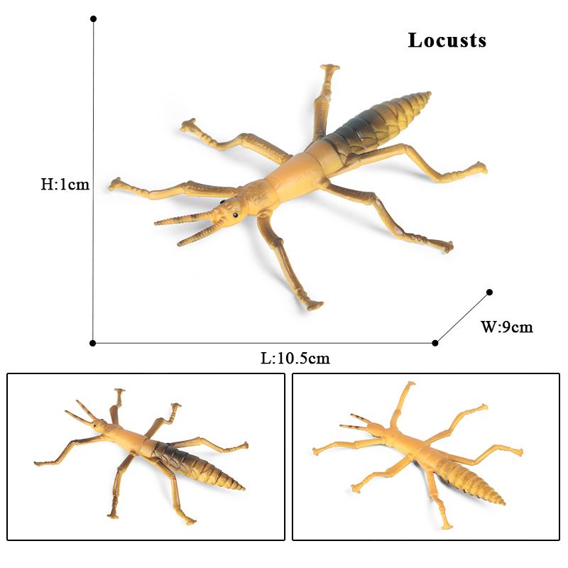 Oenux New Insect Animals Model Butterfly Bee Dragonfly Mantis Ant Snail Action Figures Jouet Collection Decor Kids Education Toy