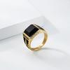 Retro Trend Titanium Steel Imitation Black Gem AG Freemason Spiral Pattern Ring for Men