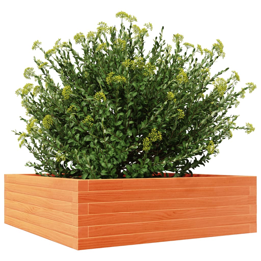 Plant Box Wax Brown 80x80x23 cm Solid Pine Wood