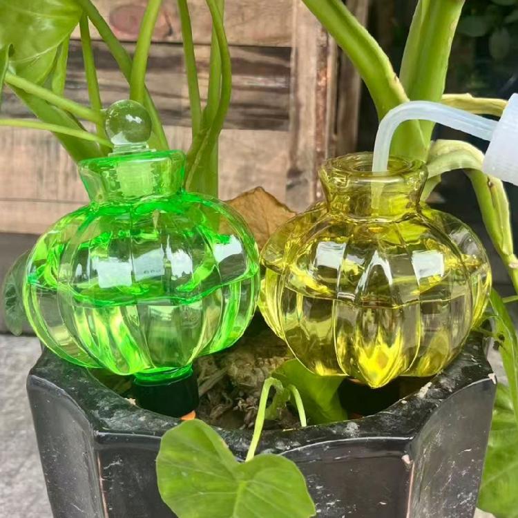 See-Through Water Holder Bulb Set for Pots with Clay Tip Waterer for Indoor Displays, Routine Watering and Desk Use
