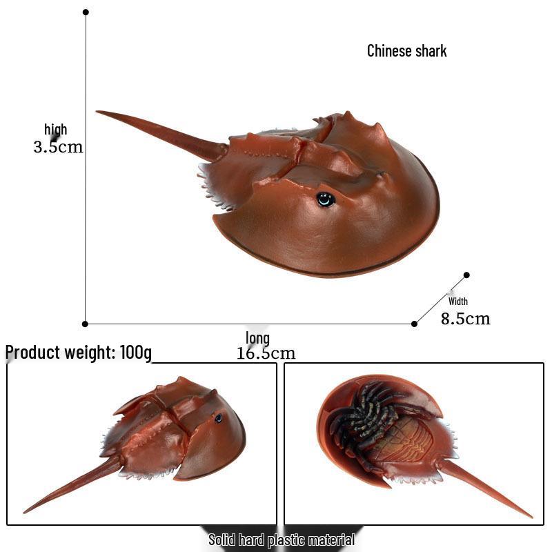 Children's Cognitive Toys: Big Manta Ray, Skate Batfish, Boss Fish, Yao Fish Models