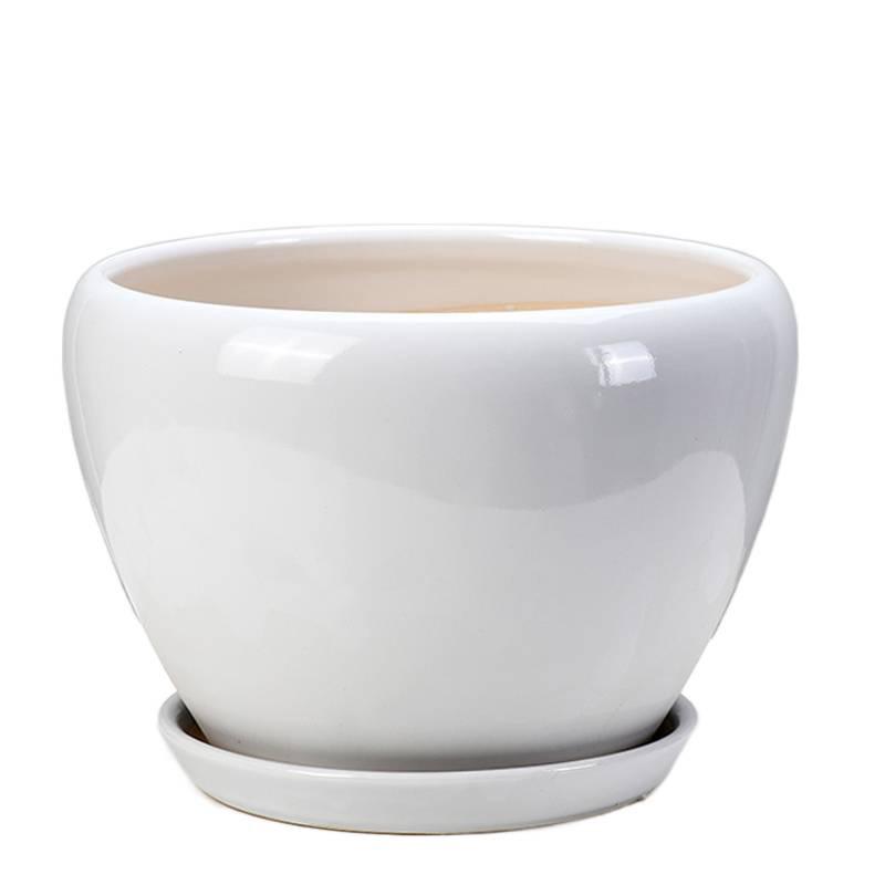 White Ceramic Orchid Pot, Large Elegant Design for Living Room