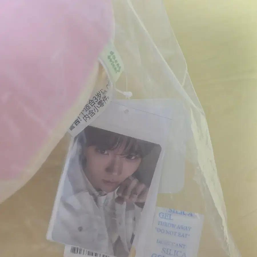 NCT Unopened/Danglini Cushion Wish Knee Pop-Up Wish Jaehee