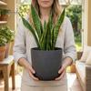 Funktionale Pflanzgefäße für das Wohnzimmer Moderner Blumentopf mit Untersetzer, Grau Blume Große Harzbehälter Entwässerungslöcher, Steinoptik Pflanzgefäß Innen Außen
