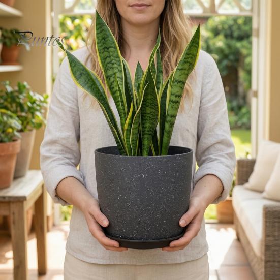 Funktionale Pflanzgefäße für das Wohnzimmer Moderner Blumentopf mit Untersetzer, Grau Blume Große Harzbehälter Entwässerungslöcher, Steinoptik Pflanzgefäß Innen Außen