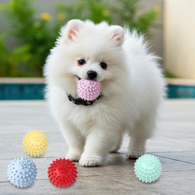 Spiky Ball Dog Toy Squeaky Dog Chew Toy Interactive Puppy Teething Toy Teeth Cleaning Toy for Training Fetch Anxiety Relief