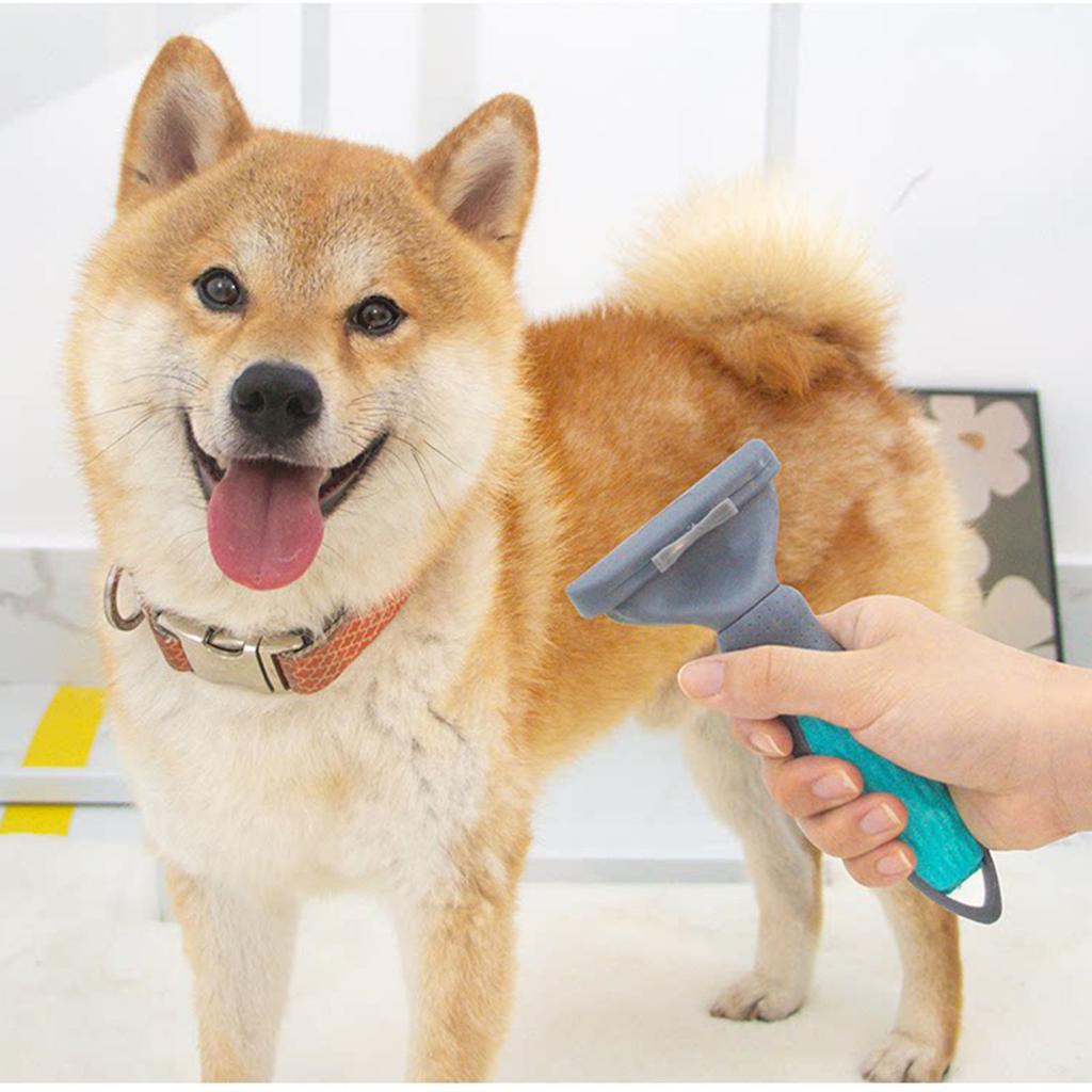 Pet Hair Removal And Grooming Brush And Comb