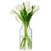 ISHU Flower Single Flower Simple Scandinavian Suitable for Thick Borosilicate Stable 9cm Vase, Glass, Vase, Small, Clear, Transparent, Design, Style,